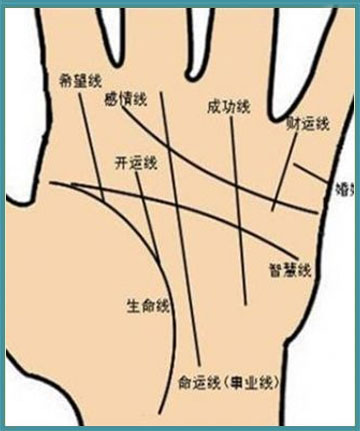 什么是成功线